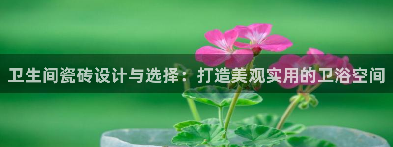 华润电玩娱乐：卫生间瓷砖设计与选择：打造美观实用的卫浴空间