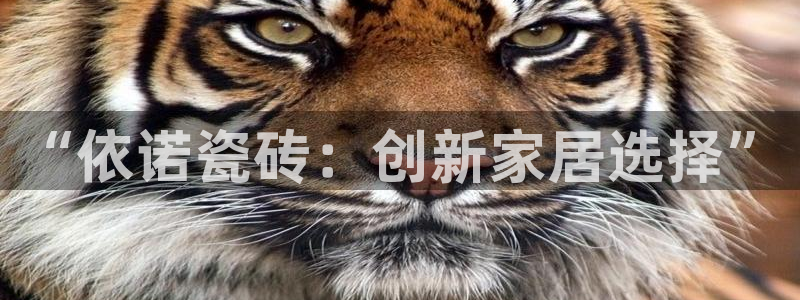 华润娱乐平台主管