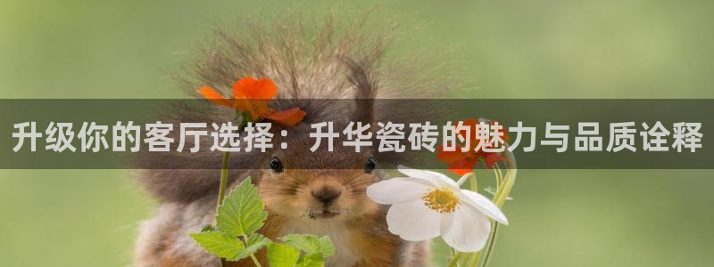 华润娱乐上5指尖