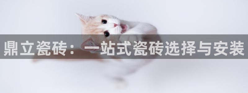 华润娱乐登录地址