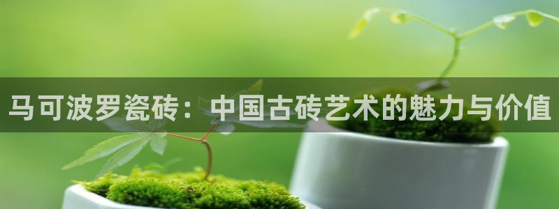 华润国际附近娱乐
