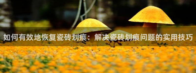 华润娱乐乘95692
