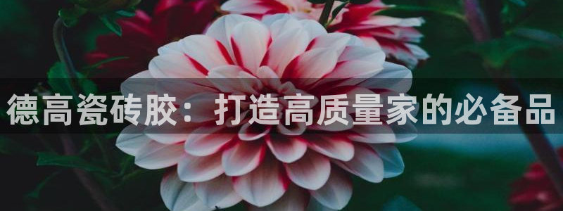 华润娱乐心