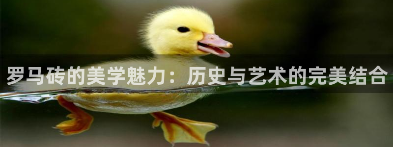华润电玩娱乐