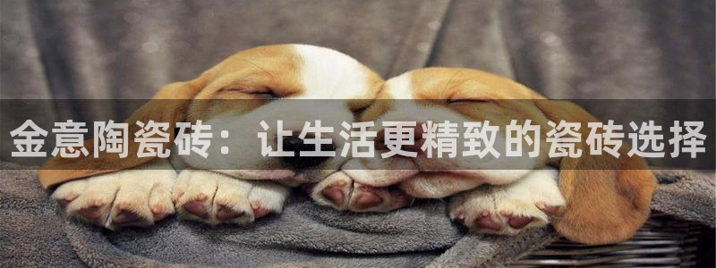 华润娱乐传媒