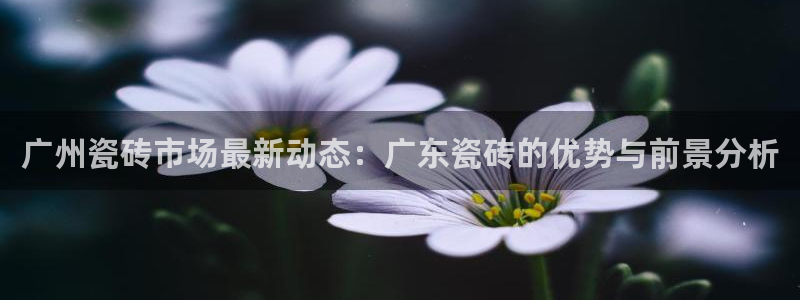华润娱乐蚁122222