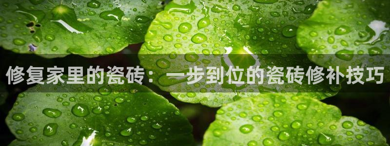 华润娱乐彩票平台app