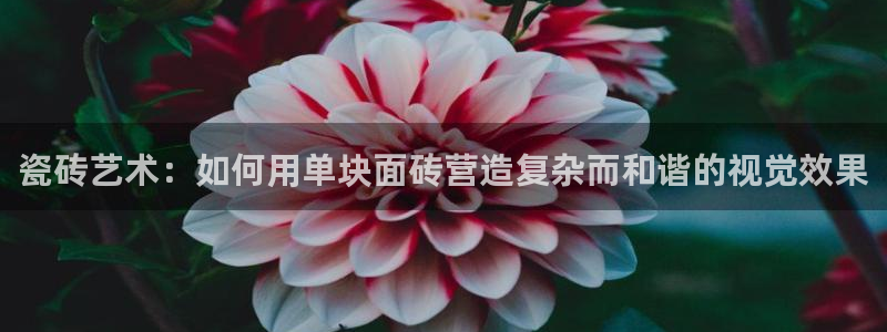 华润集团有娱乐公司吗
