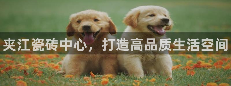 华润娱乐01q675.138