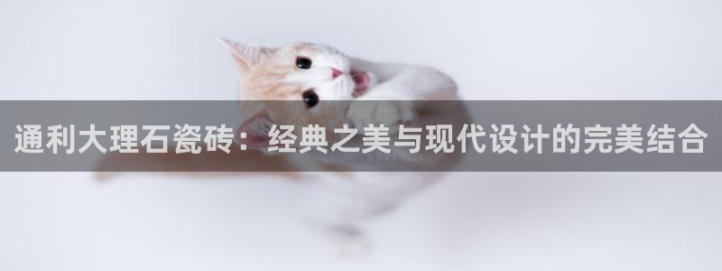 华润娱乐虏122222