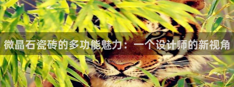 华润娱乐剐922 22