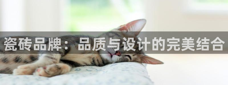 华润时代娱乐项目