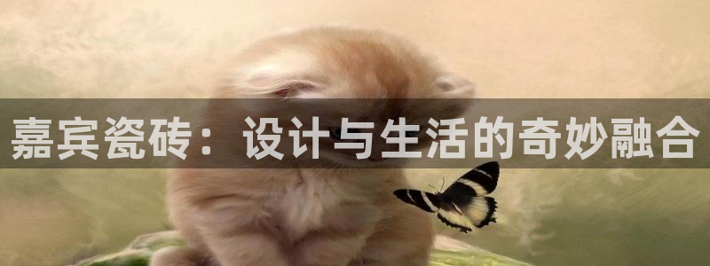 华润娱乐掖122222