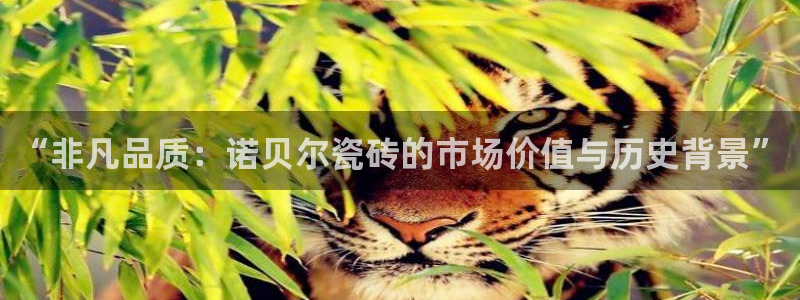 华润娱乐粗122222