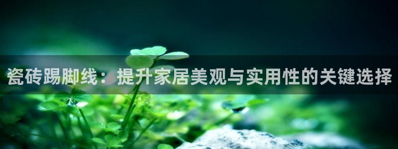华润2娱乐平台主管