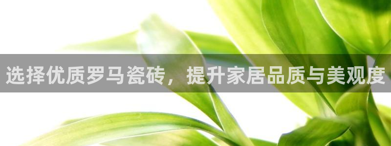 华润娱乐左