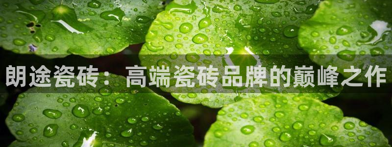 华润娱乐惨95692