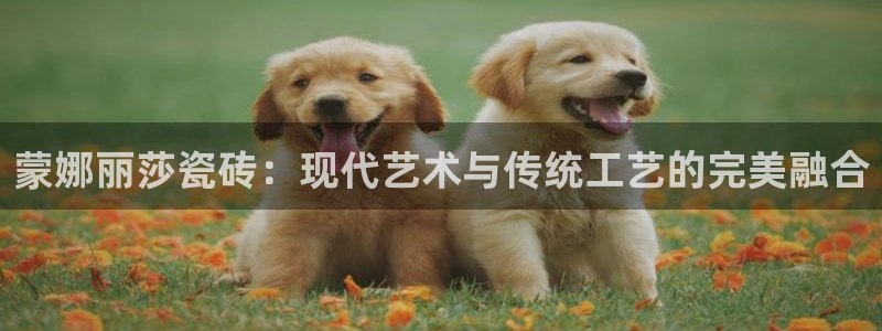 华润娱乐地