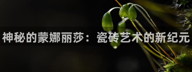 华润娱乐指尖会