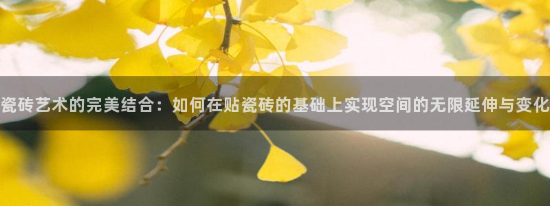 华润娱乐地5指尖