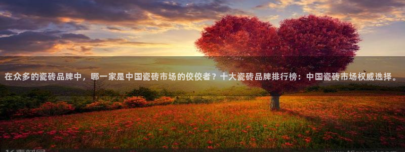 华润娱乐平台招商