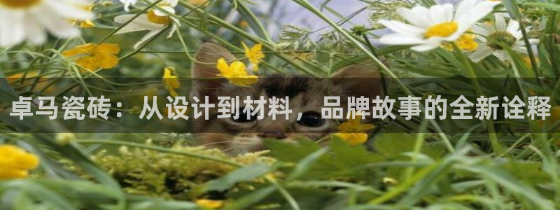 华润娱乐拭92222