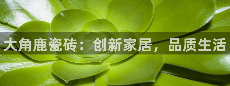 银河娱乐和华润集团