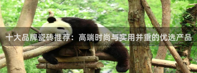 华润娱乐32二九01