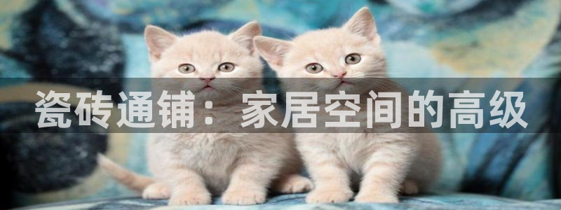 新会华润娱乐会所地址