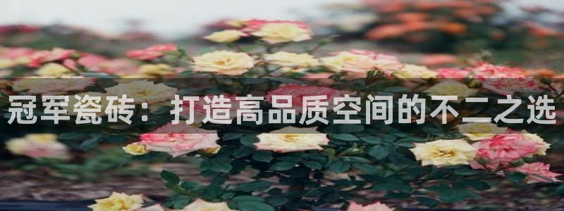 华润娱乐妆92222