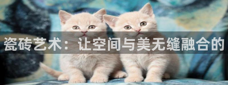 华润城小区娱乐设施