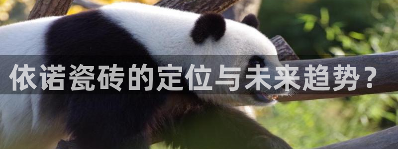 华润集团娱乐公司官网