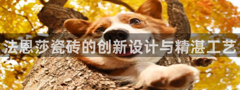 华润娱乐蜒95692