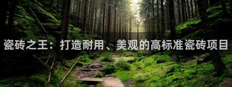 华润集团娱乐公司